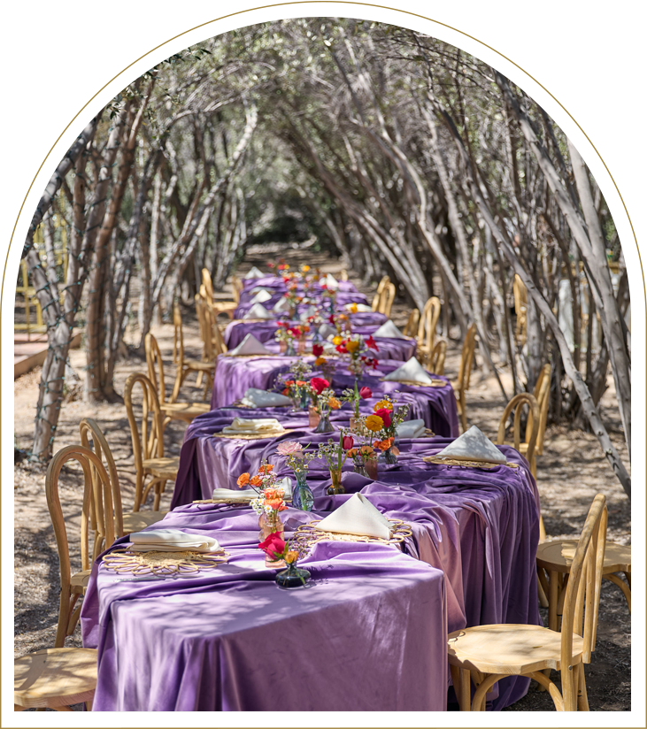 Magical Olive grove Outdoor Wedding event space las vegas